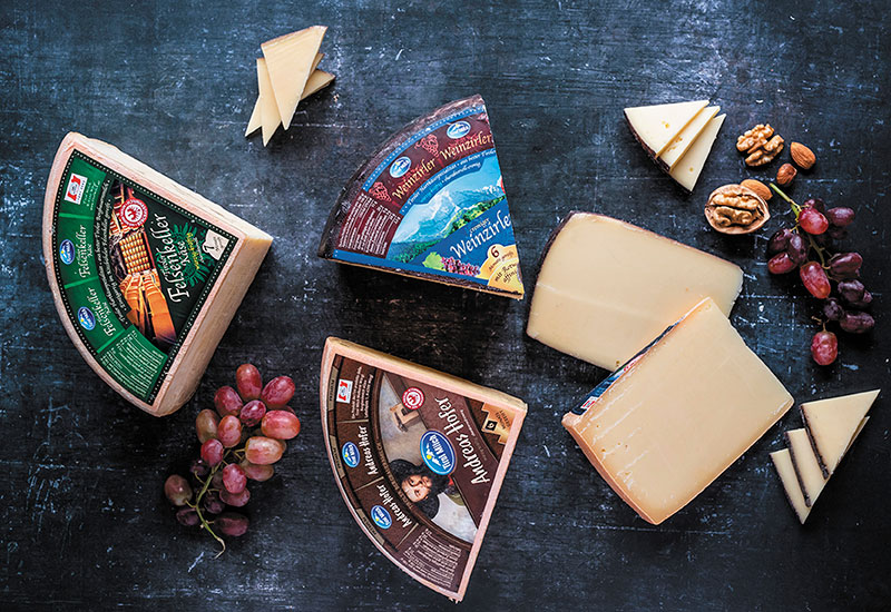 Eine Käsesplatte mit verschiedenen Käsestücken der Tirol Milch auf dunkelblauem Hintergrund