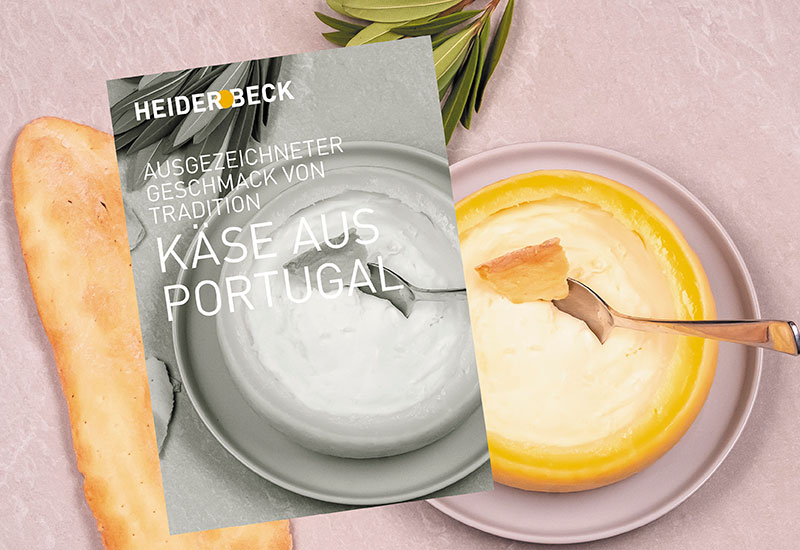 Grauer Hintergrund mit einem offenen Käselaib, ein Stück Brot und ein Olivenzweig dekorativ angerichtet. Darüber der neue Katalog